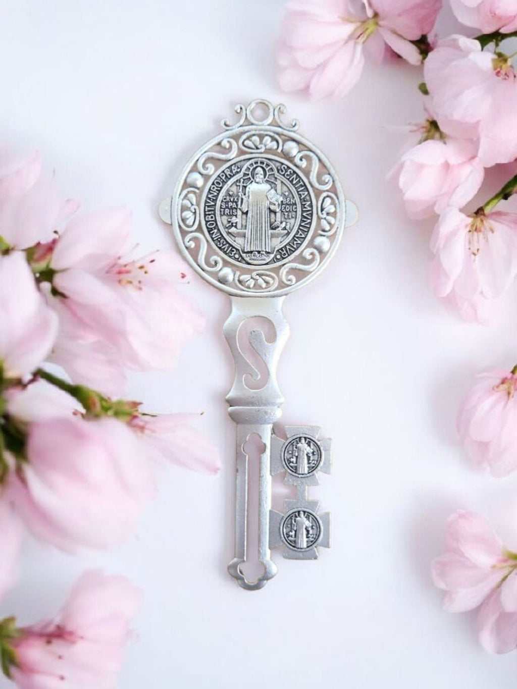 CHIAVE DI SAN BENEDETTO - PROTEZIONE