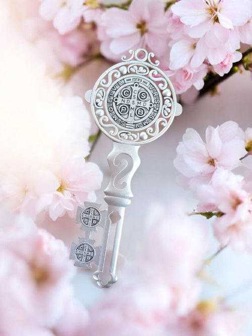 CHIAVE DI SAN BENEDETTO - PROTEZIONE